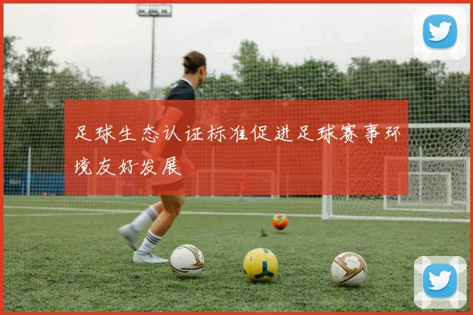 足球生态认证标准促进足球赛事环境友好发展