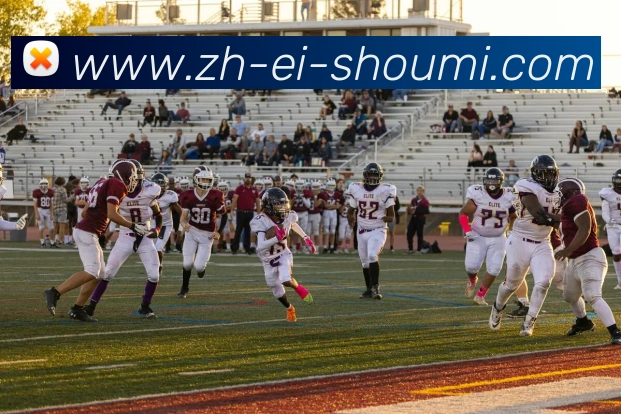 App Interface Preview